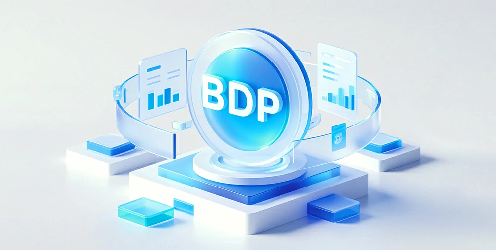 BDP (Big Data Platform)