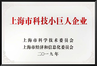 上海市科技小巨人企業