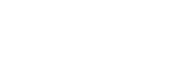 全球服务网络